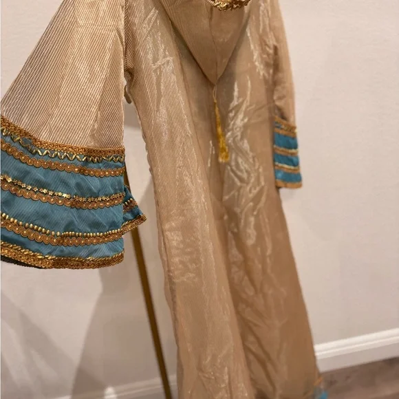 Elegant Beige and Teal Embellished Kaufttan - Picture 3 of 3